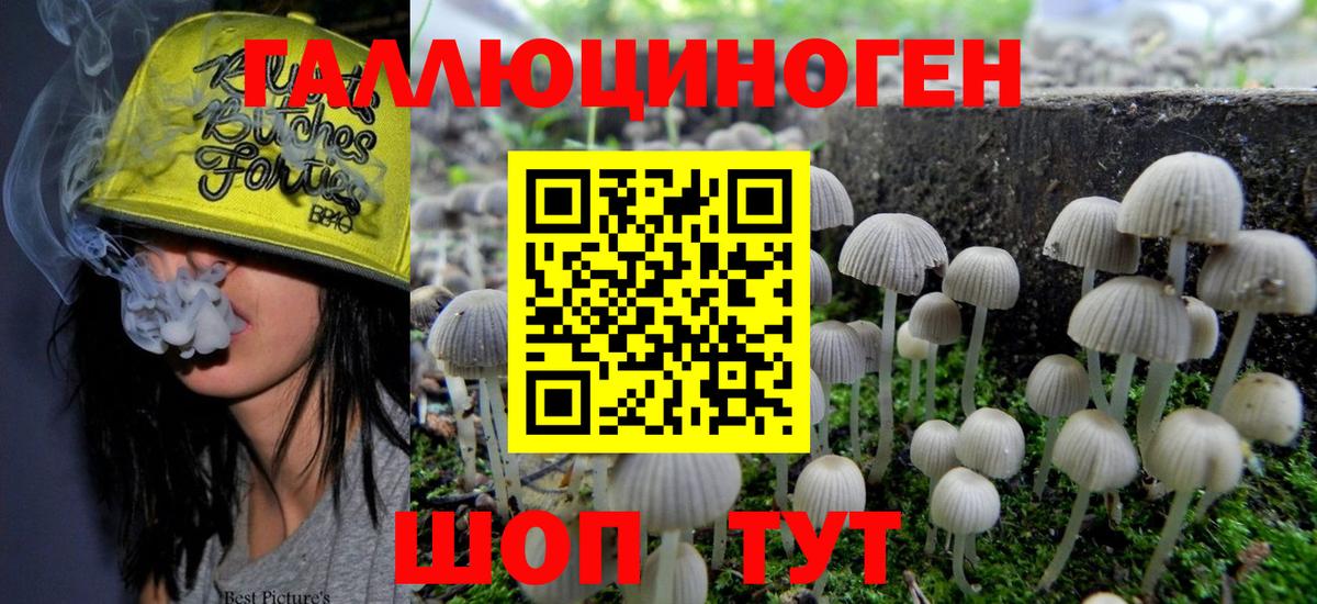 Псилоцибиновые грибы прущие грибы Салехард