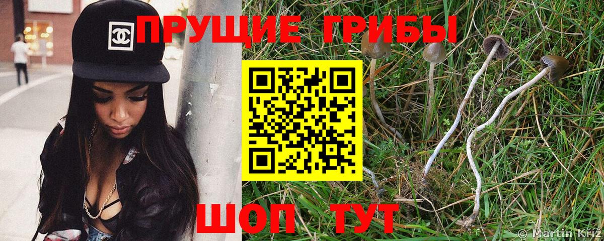 Галлюциногенные грибы Psilocybine cubensis  Вход с VPN  Салехард  Галлюциногенные грибы ЛСД 