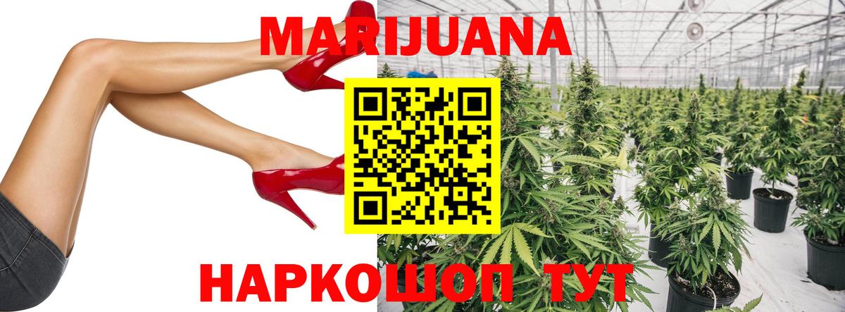 Шишки марихуана сатива Салехард
